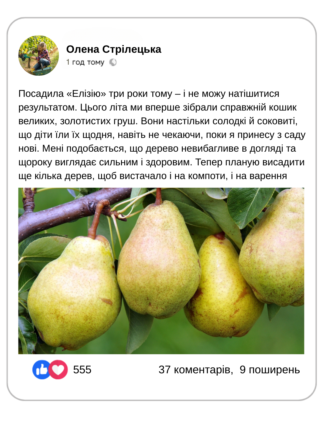 Заголовок