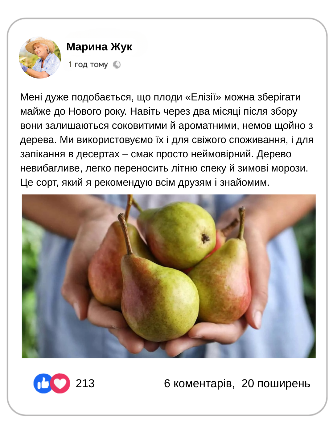 Заголовок