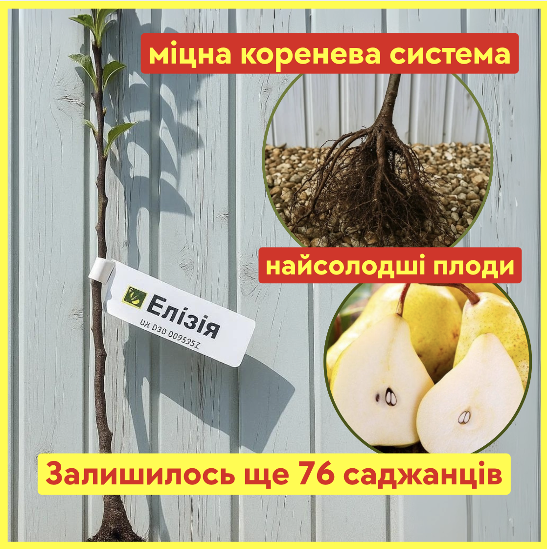 Заголовок